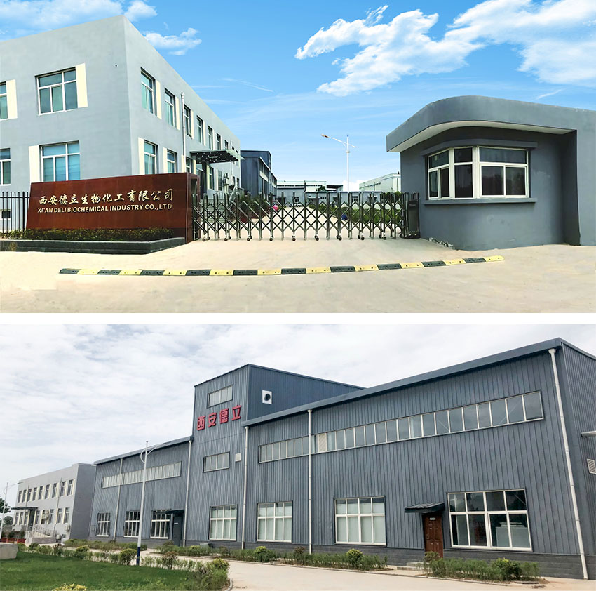 Xi'an Deli Biochemical Industry Co., Ltd.: Innovación líder en derivados de ciclodextrina, empoderando la industria farmacéutica