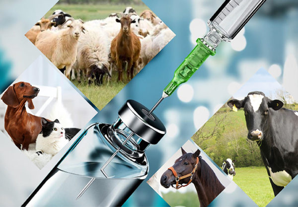 Mejora de los medicamentos veterinarios con hidroxipropil betadex